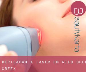 Depilação a laser em Wild Duck Creek Depilação a laser em Wild Duck Creek