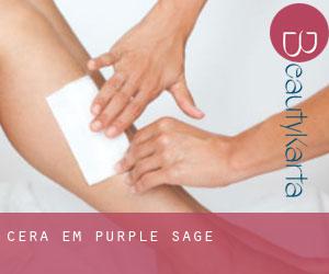 Cera em Purple Sage