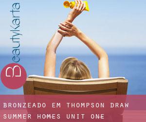 Bronzeado em Thompson Draw Summer Homes Unit One