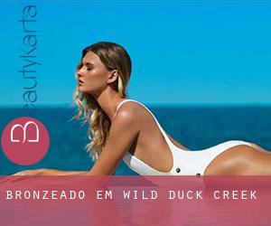 Bronzeado em Wild Duck Creek Bronzeado em Wild Duck Creek