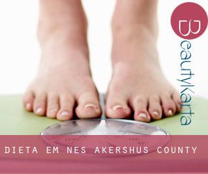 Dieta em Nes (Akershus county)