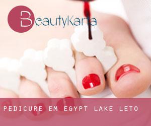 Pedicure em Egypt Lake-Leto